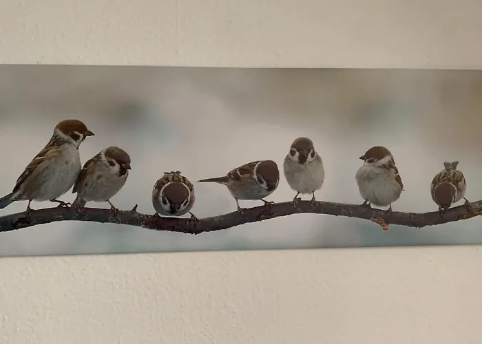 Ferienwohnung Luettje Hoern