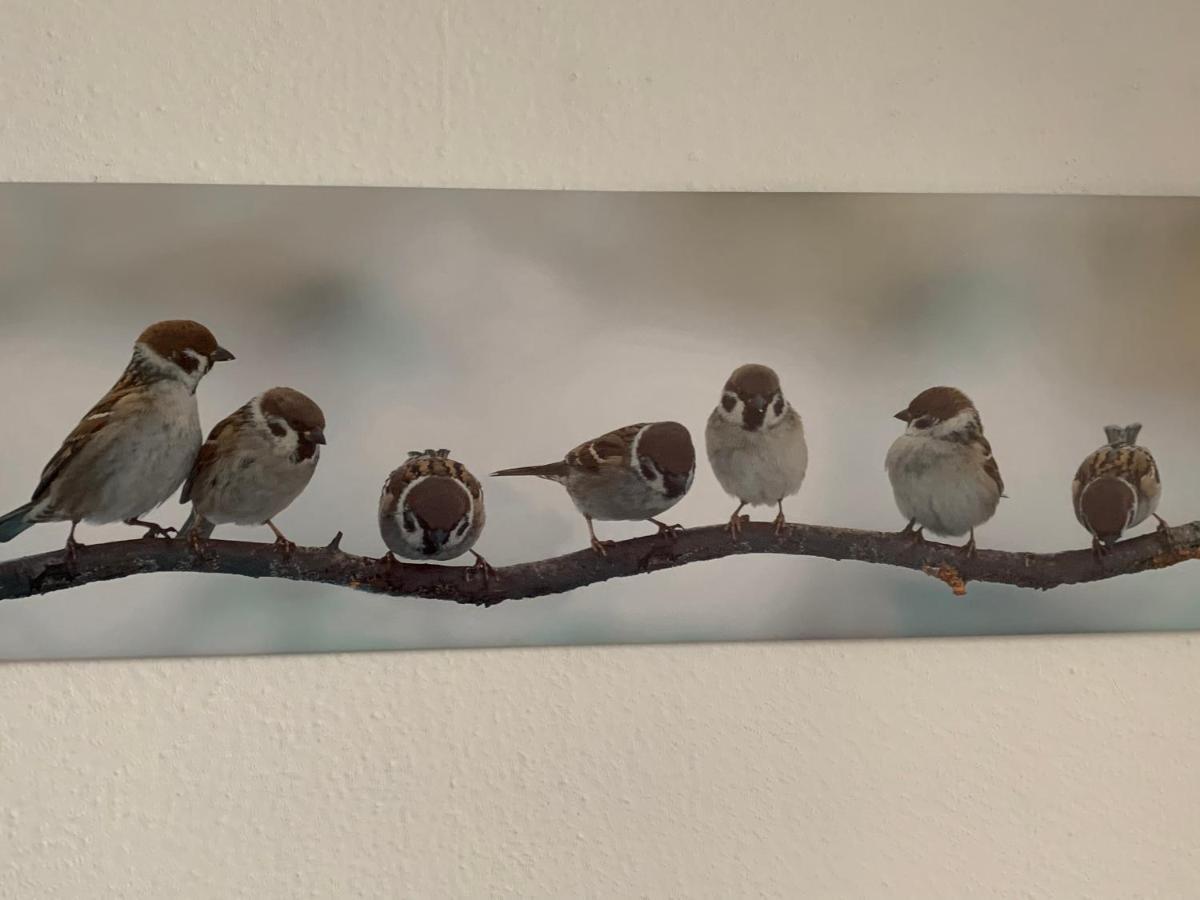 Luettje Hoern Appartement Emden